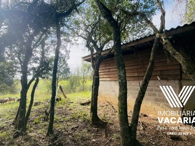 Imagem 9: Chacara - Vacaria
