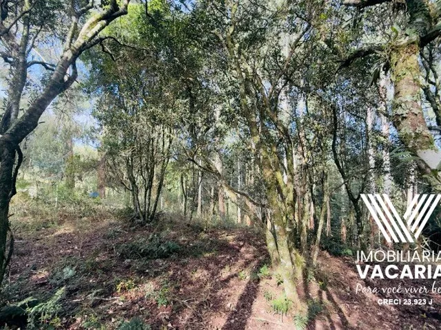 Imagem 3: Chacara - Vacaria