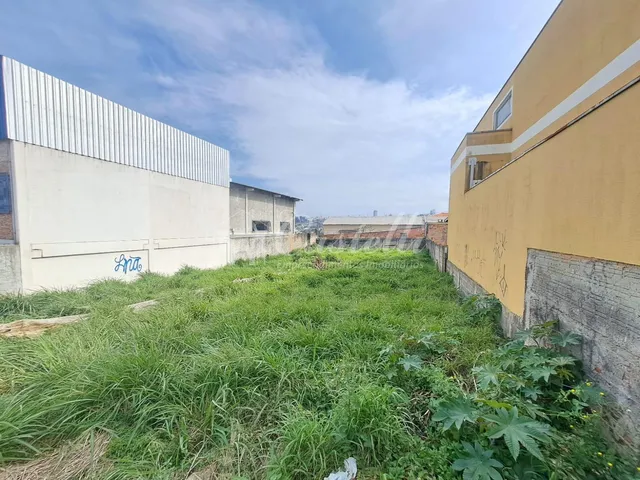 Imagem 4: Terreno para à venda, no Bairro Ronda, em PONTA GROSSA - PR