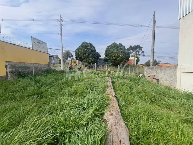 Imagem 5: Terreno para à venda, no Bairro Ronda, em PONTA GROSSA - PR