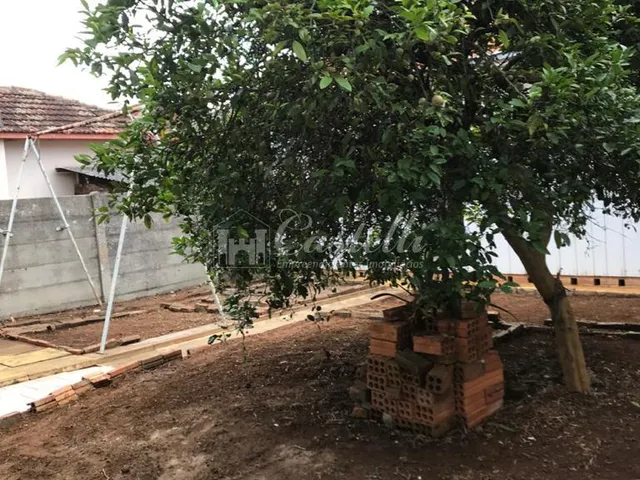 Imagem 7: Terreno Comercial à venda,354.00 m², Centro, PONTA GROSSA - PR