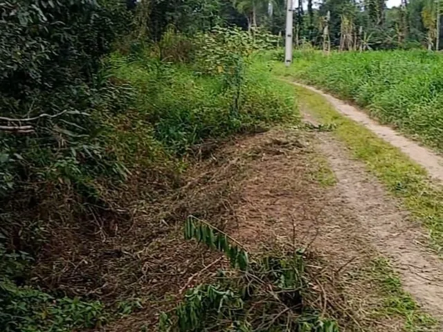 Imagem 6: Chácara em Centro, Morretes/PR