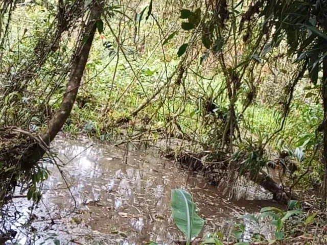 Imagem 4: Chácara em Centro, Morretes/PR