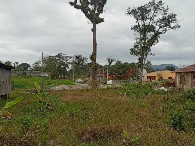 Imagem 3: Terreno em Sertãozinho, Matinhos/PR