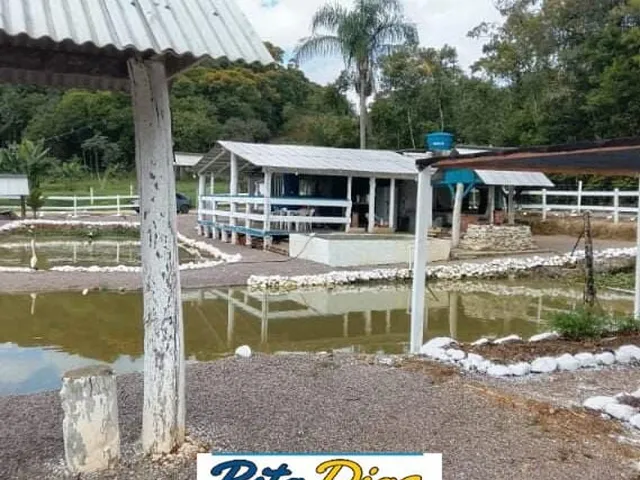 Imagem 6: Chácara em Centro, Morretes/PR