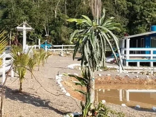Imagem 4: Chácara em Centro, Morretes/PR