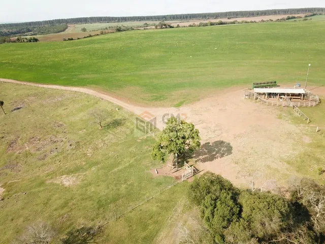 Imagem 15: Fazenda À Venda em Palmas Paraná