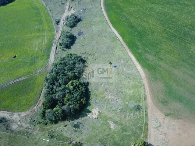 Imagem 4: Fazenda À Venda em Palmas Paraná