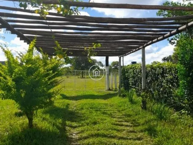Imagem 4: Chácara à Venda em Água Boa, Claro dos Poções