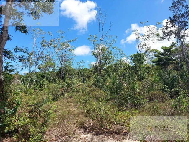 Imagem 16: Terreno Residencial em Camaçari - Bahia, Arembepe (Abrantes