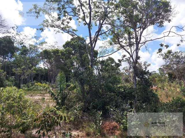 Imagem 9: Terreno Residencial em Camaçari - Bahia, Arembepe (Abrantes