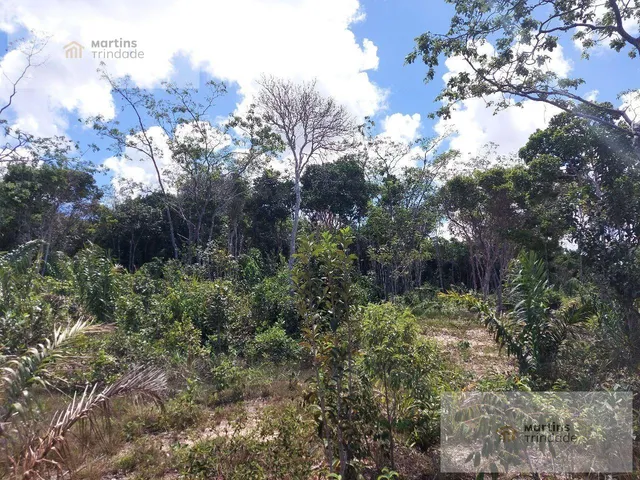Imagem 11: Terreno Residencial em Camaçari - Bahia, Arembepe (Abrantes