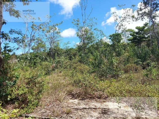 Imagem 13: Terreno Residencial em Camaçari - Bahia, Arembepe (Abrantes