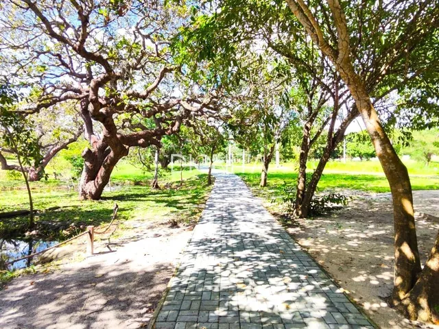 Imagem 13: Condomínio Botânico Terra Brasilis – Exclusividade, Natureza e Qualidade de Vida!