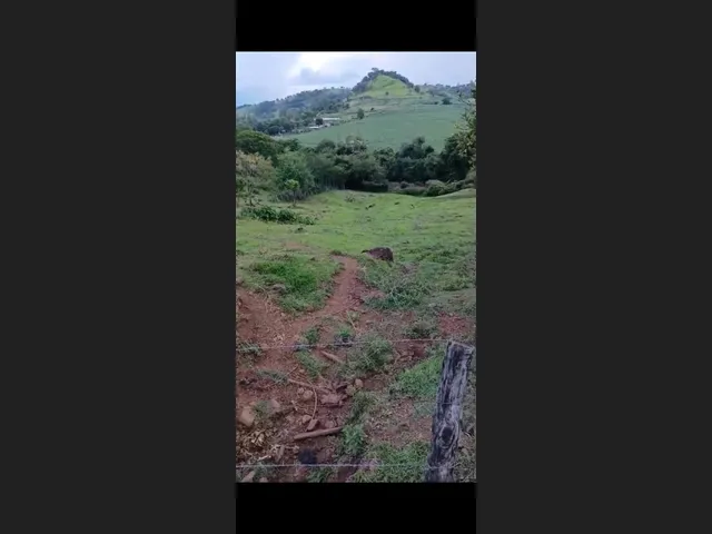 Imagem 14: Chácara 2 alqueires a venda jardim alegre PR ótima localização