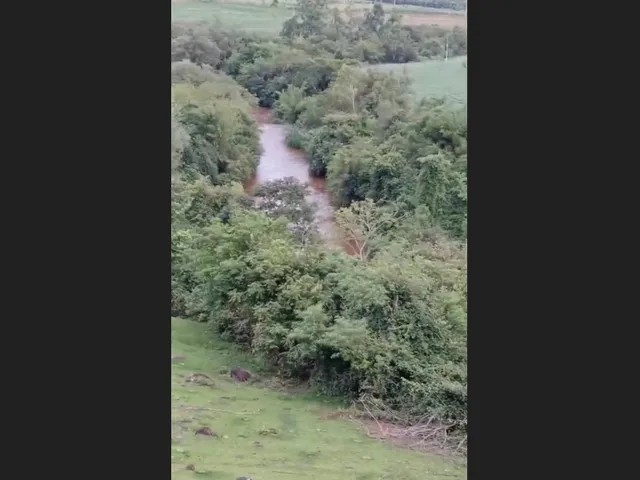 Imagem 4: Chácara 2 alqueires a venda jardim alegre PR ótima localização