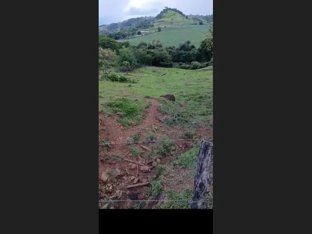 Imagem 7: Chácara 2 alqueires a venda jardim alegre PR ótima localização