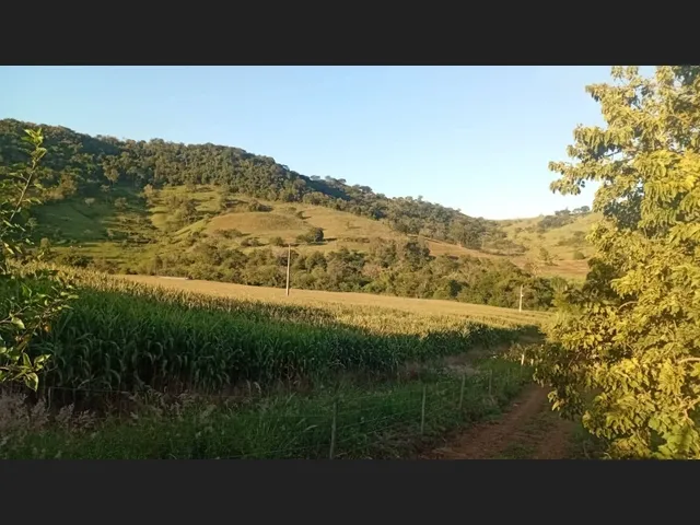 Imagem 5: Chácara 1 alqueires a venda jardim alegre PR ótima localização