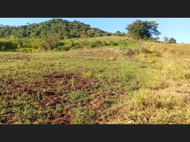 Imagem 3: Chácara 1 alqueires a venda jardim alegre PR ótima localização