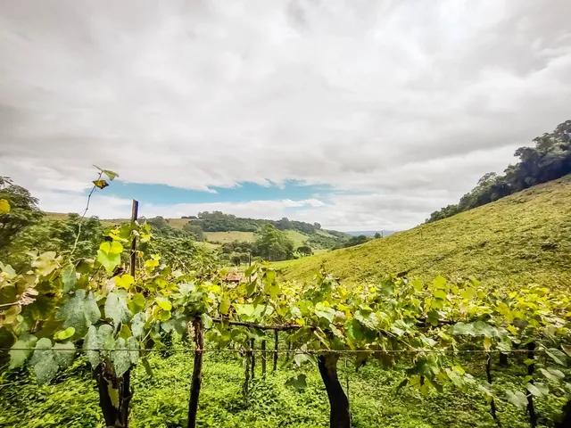 Imagem 8: Área De Terras - Área De Terras