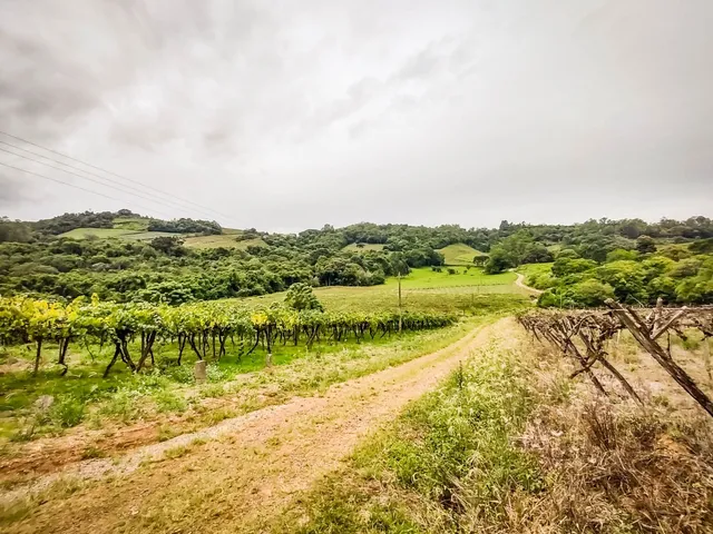 Imagem 10: Área De Terras - Área De Terras