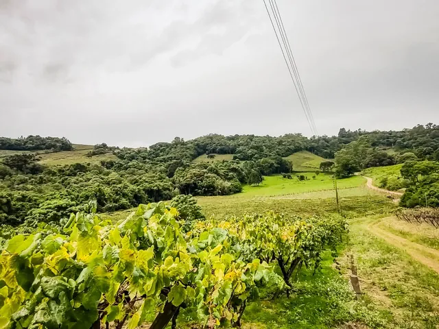 Imagem 4: Área De Terras - Área De Terras