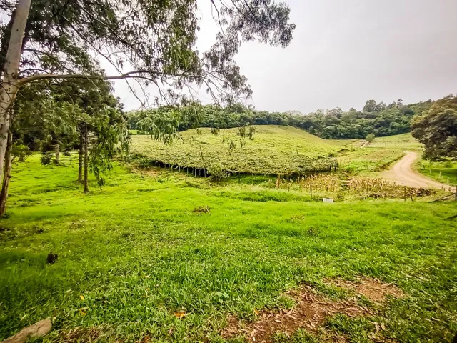 Imagem 2: Área De Terras - Área De Terras