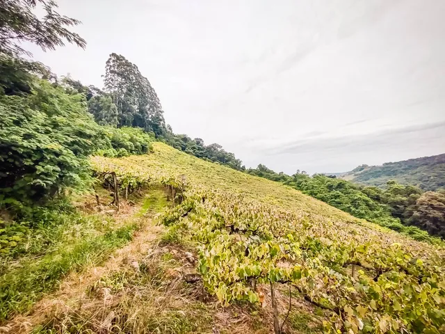 Imagem 5: Área De Terras - Área De Terras
