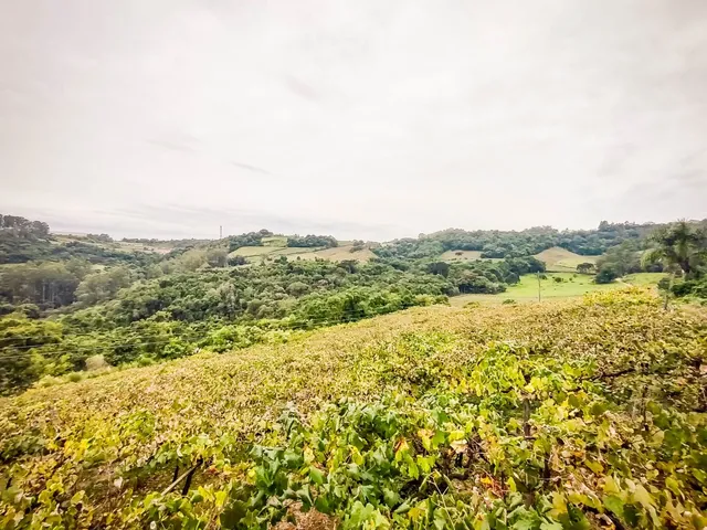 Imagem 7: Área De Terras - Área De Terras