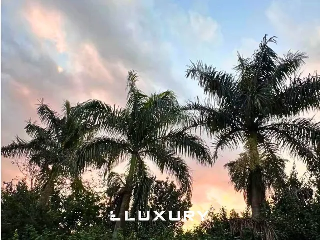 Imagem 11: Casa térrea de alto padrão com piscina e escritório no Residencial Havaí