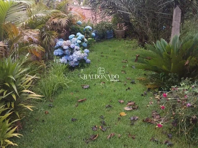 Imagem 2: CHACARA À VENDA EM TOLEDO MG 5.500 m² há 2,5 KM do centro da cidade