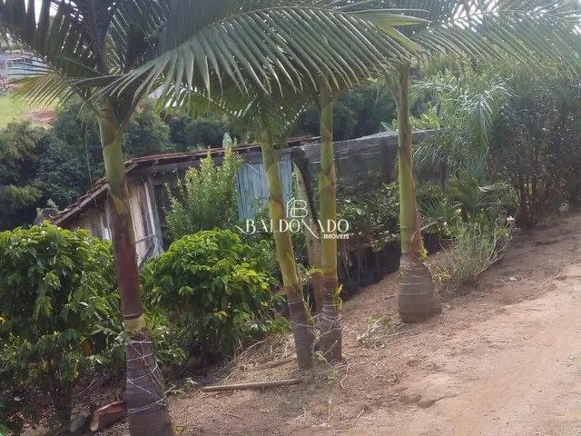 Imagem 4: CHACARA À VENDA EM TOLEDO MG 5.500 m² há 2,5 KM do centro da cidade