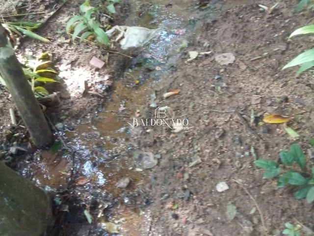 Imagem 5: CHACARA À VENDA EM TOLEDO MG 5.500 m² há 2,5 KM do centro da cidade