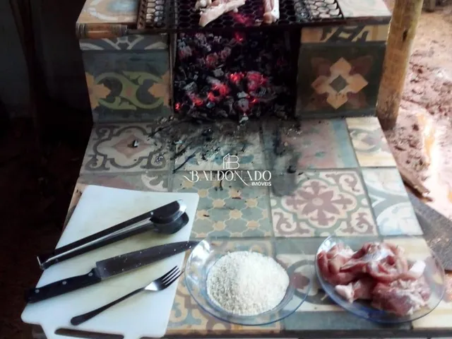 Imagem 8: CHACARA À VENDA EM TOLEDO MG 5.500 m² há 2,5 KM do centro da cidade