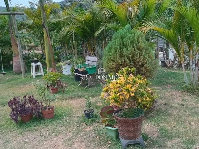 Imagem 14: CHACARA À VENDA EM TOLEDO MG 5.500 m² há 2,5 KM do centro da cidade