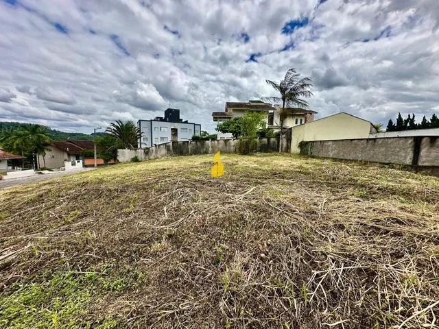 Imagem 3: Terreno Bairro Quintino - Timbó - SC