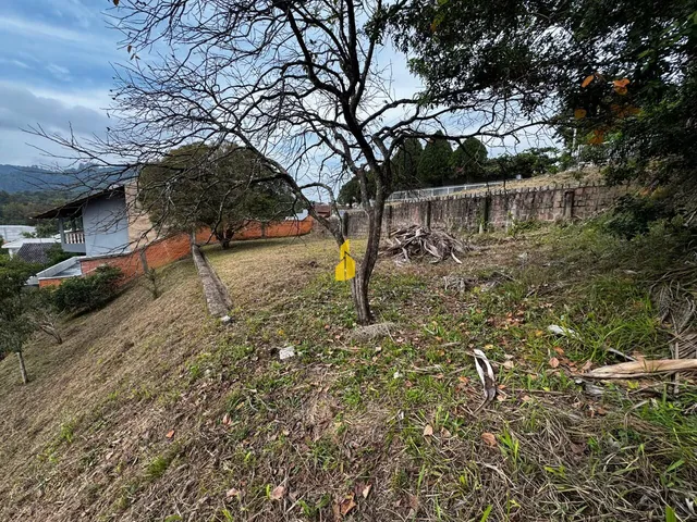 Imagem 6: TERRENO À VENDA EM TIMBÓ