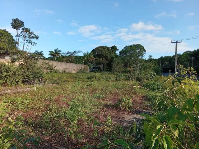 Imagem 3: TERRENO 4 LOTES ITAPUAMA