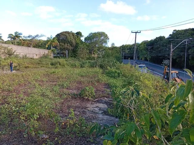 Imagem 4: TERRENO 4 LOTES ITAPUAMA