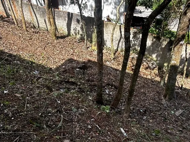 Imagem 4: Excelente oportunidade: Terreno à venda no bairro Retiro em Petrópolis-RJ com 492,00