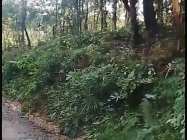 Imagem: Chácara em Centro, Antonina/PR