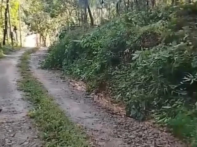 Imagem 6: Chácara em Centro, Antonina/PR