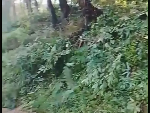 Imagem 5: Chácara em Centro, Antonina/PR