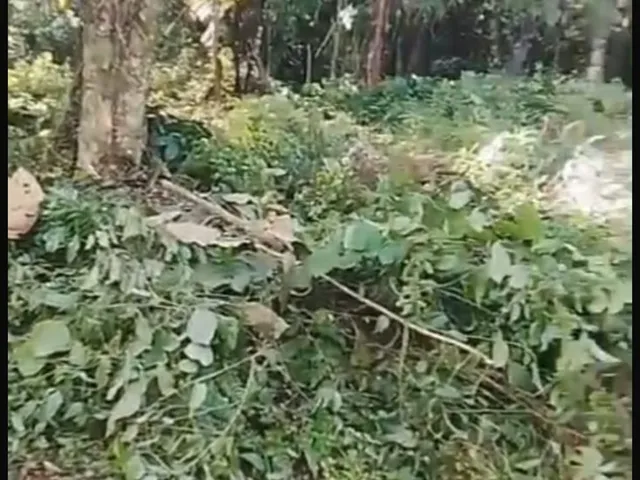 Imagem 3: Chácara em Centro, Antonina/PR