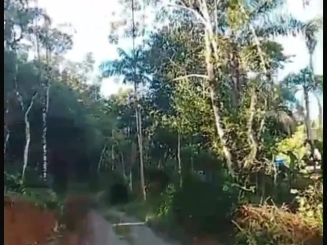 Imagem 2: Chácara em Centro, Antonina/PR