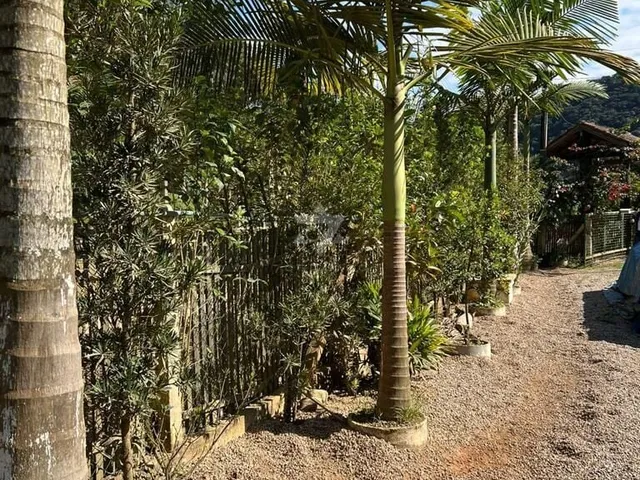 Imagem 14: Sítio dos Sonhos: Descubra o Encanto da Natureza no Brilhante 2