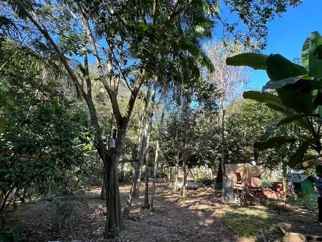 Imagem 16: Sítio dos Sonhos: Descubra o Encanto da Natureza no Brilhante 2