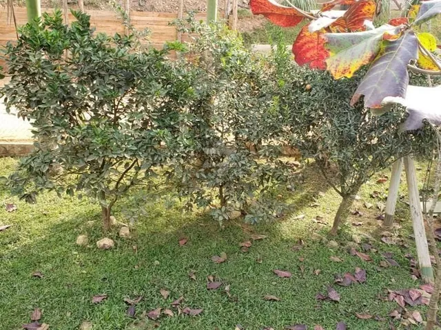 Imagem 15: Sítio dos Sonhos: Descubra o Encanto da Natureza no Brilhante 2