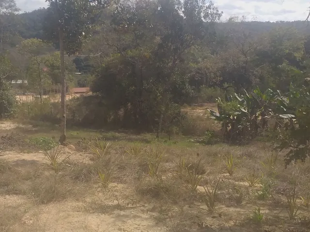Imagem: Condomínio Beira Corgo - Terreno Terreno