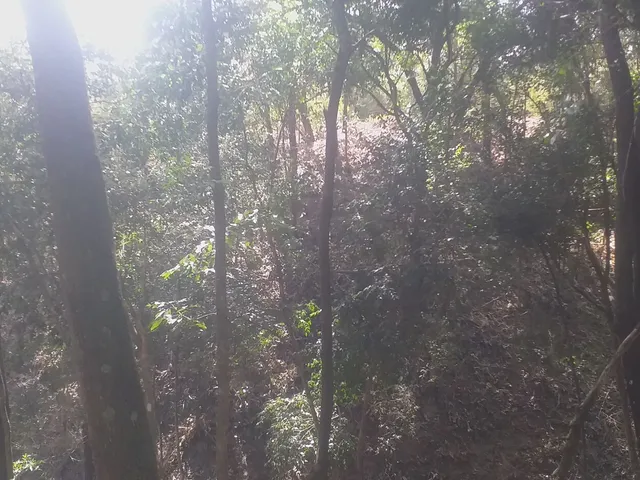Imagem 12: Condomínio Beira Corgo - Terreno Terreno em Jardim Verona, Ribeirão das Neves/Mg